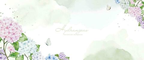 Horizontal background with colorful hydrangea, butterflies and stains vector