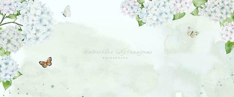 Horizontal background with white hydrangea, butterflies and stains vector