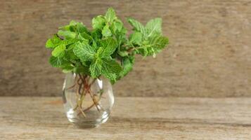 Fresh Picked Mint Leaf on Glass photo