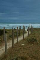 Path to the beach with wooden poles in the foreground and ocean in the background photo