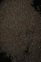 Black pepper grains on black background. Top view. Copy space. photo