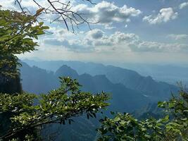 fotografía de montaña paisajes y follaje foto