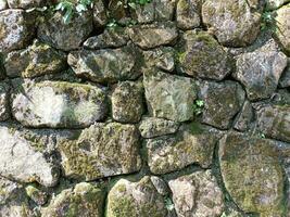 Photo of a stone wall with green moss