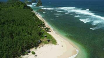 Point of View from the beach, tropical forests and ocean at Tanjung Penyu Mas Beach video