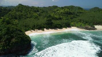 le vagues sont grand, et le vues sont extraordinaire de le plage et tropical les forêts video