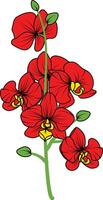 Red orchid branch vector flower, illustration of beautiful red orchid flower