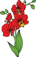 Red orchid branch vector flower, illustration of beautiful red orchid flower