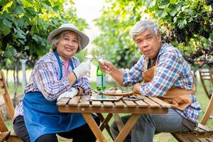 Portrait of senior winemaker holding in his hand a glass of new white wine. Smiling happy elderly couple enjoying a picnic together in own vineyard. Agricultural concept, Small business, retirement photo