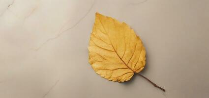a single yellow leaf on a brown background. AI generated photo