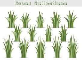 green grass. doodle grass illustration. grass lineart. grass outline illustration. set of handrawn grass. vector