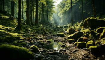 misterioso niebla mantas tranquilo bosque, revelador naturaleza encantador belleza generado por ai foto