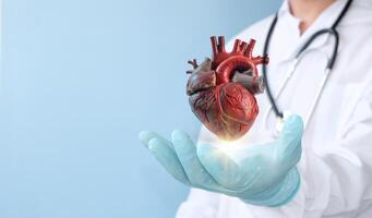 un médico participación un corazón modelo en su mano. generativo ai foto