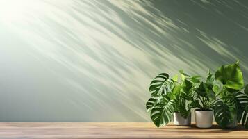 three potted plants on a wooden table in front of a wall. AI generative photo