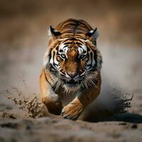 detallado retrato de el Tigre animal correr, cazando, persecución, generativo ai foto