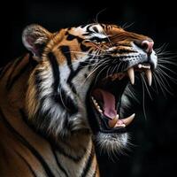 detallado cerca arriba retrato de rugido Tigre animal en negro fondo, generativo ai foto