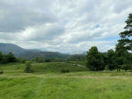 A view of the Lake District at Tarn Howes photo