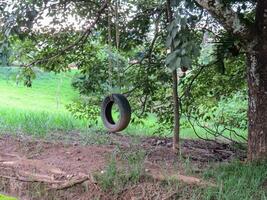 Rustic and improvised children's swing with old tire, under the shade of a tree. photo