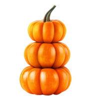 Stacked pumpkins for halloween isolated on transparent background png