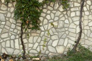 Stone texture on a wall in Montenegro. An ancient gray stone wall with curly plants and grass with firewood on it. Background. Template. For design. Vertical. photo