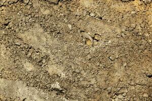 The texture of the concrete wall in the holes. photo