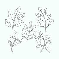 Set of outline leaves and twigs. Hand drawn vector illustration.