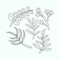 Set of hand drawn doodle leaves and flowers. Vector illustration.