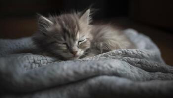 Cute kitten sleeping, softness and fur, close up of fluffy feline generated by AI photo