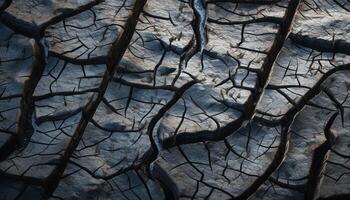 Dry tree branch on arid climate, burnt wood, damaged landscape generated by AI photo