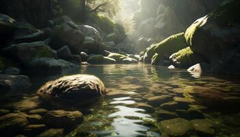 A tranquil scene of a wet forest with flowing water generated by AI photo