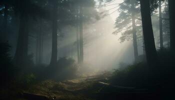 Mysterious fog blankets tranquil forest, revealing nature spooky beauty generated by AI photo