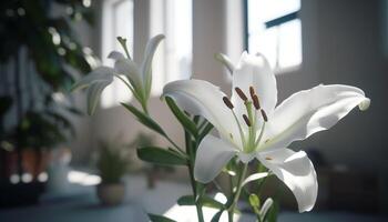 Freshness of nature beauty in a single flower bouquet indoors generated by AI photo