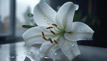 Freshness of nature beauty in a single flower wet petal generated by AI photo