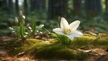 Nature beauty in springtime fresh flowers bloom in green meadows generated by AI photo