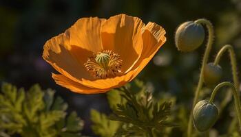 Vibrant yellow flower head blossoms in the meadow, attracting bees generated by AI photo