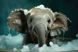 Cute elephant in a bathtub with water drops photo