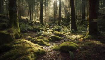 Tranquil scene of a green forest with autumn foliage and fog generated by AI photo