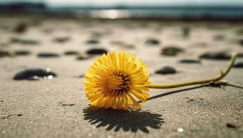 Yellow daisy blossoms in the meadow, nature vibrant summer beauty generated by AI photo