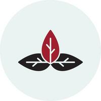 Basil Vector Icon