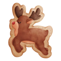 Watercolor Christmas Cookie Illustration png
