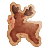 aquarelle Noël biscuit illustration png