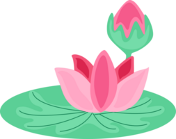 pink lotus in the rainy season png
