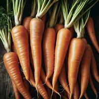 Capture the vibrant essence of freshly harvested carrots photo