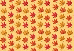 Versatile Autumn Leaves Pattern in a Spectrum of Fall Colors vector