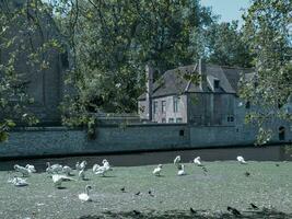 the city of bruges in belgium photo