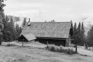 the austrian alps near gosau photo