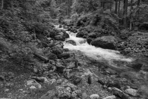 hiking nesar gosau in austria photo