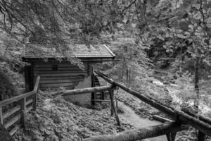 hiking nesar gosau in austria photo