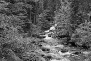 hiking nesar gosau in austria photo