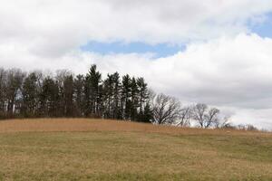 Beautiful field in the middle of a nature preserve. The tall brown grass all over showing the Fall season. You can see tall trees in the background. Grey sky with clouds all over in the distance. photo