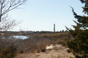 This is the look of the Cape May point lighthouse from the birdwatching nature preserve close by. I love the look of the pond in this landscape picture and the brown look of all the foliage. photo